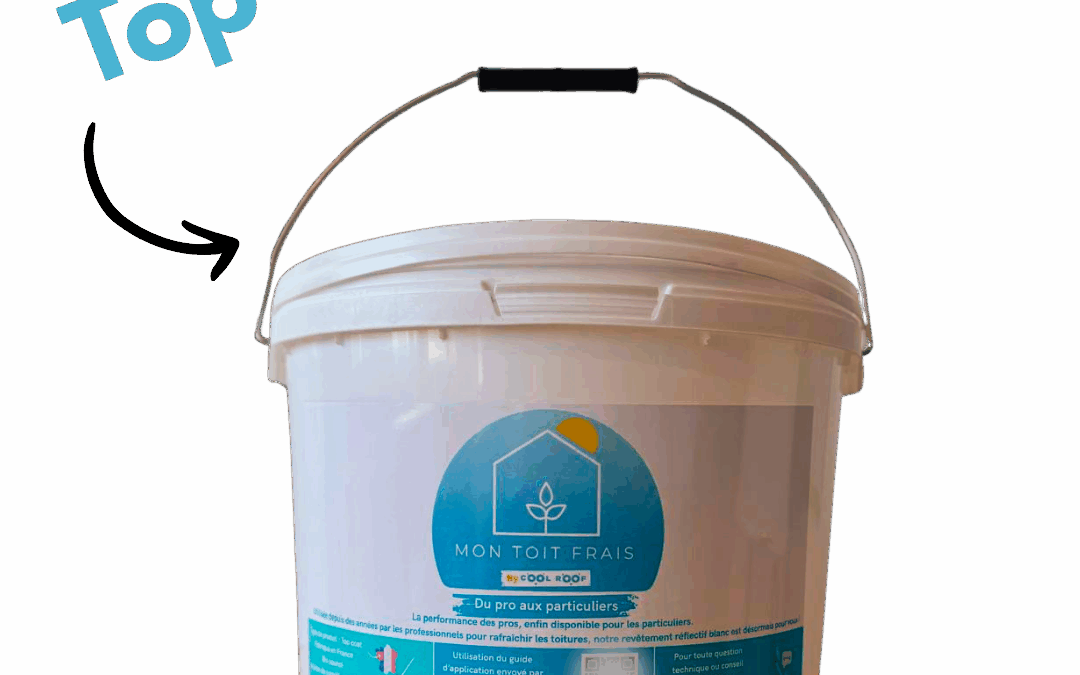 peinture anti chaleur