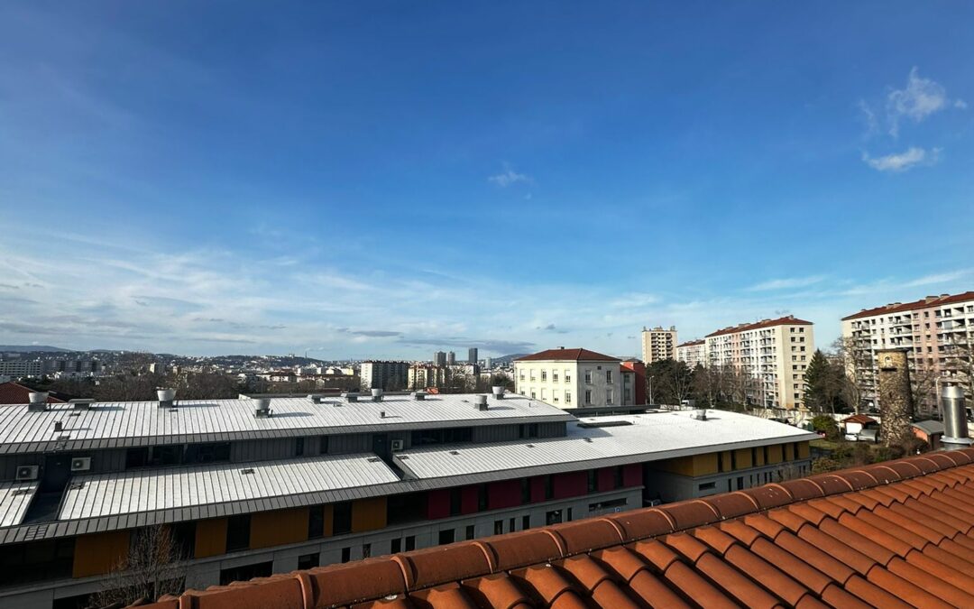 peinture toiture terrasse