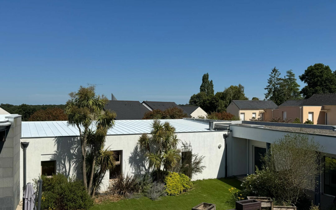 Vue d’ensemble d’une toiture métallique claire bordée d’arbres.
